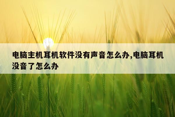 电脑主机耳机软件没有声音怎么办,电脑耳机没音了怎么办