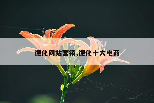 德化网站营销,德化十大电商