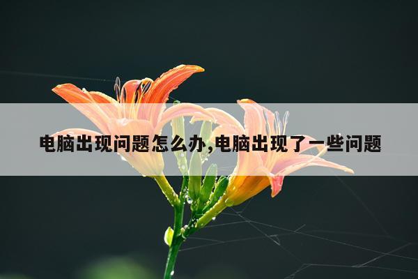 电脑出现问题怎么办,电脑出现了一些问题
