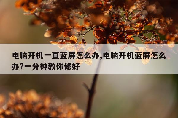电脑开机一直蓝屏怎么办,电脑开机蓝屏怎么办?一分钟教你修好