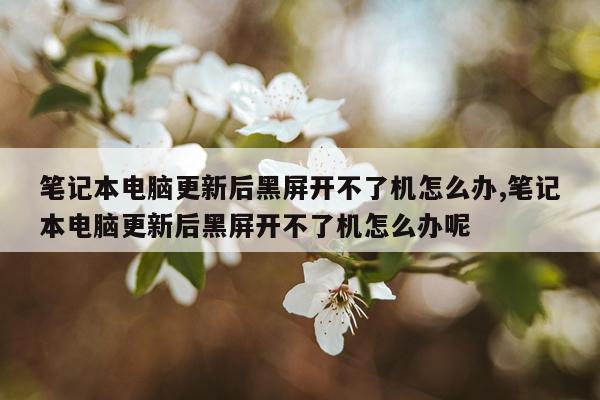 笔记本电脑更新后黑屏开不了机怎么办,笔记本电脑更新后黑屏开不了机怎么办呢