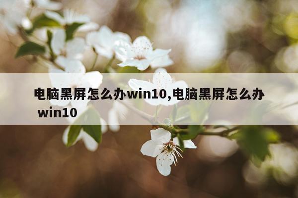 电脑黑屏怎么办win10,电脑黑屏怎么办 win10