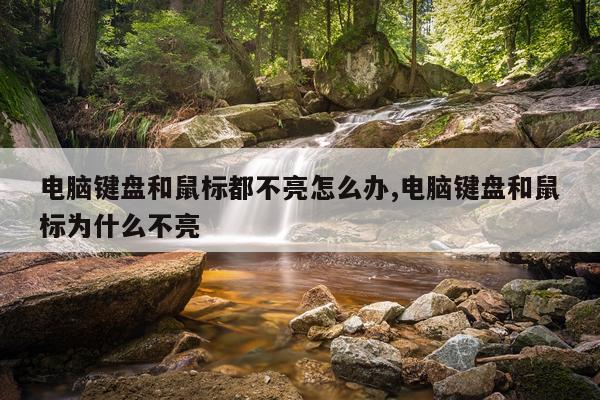 电脑键盘和鼠标都不亮怎么办,电脑键盘和鼠标为什么不亮