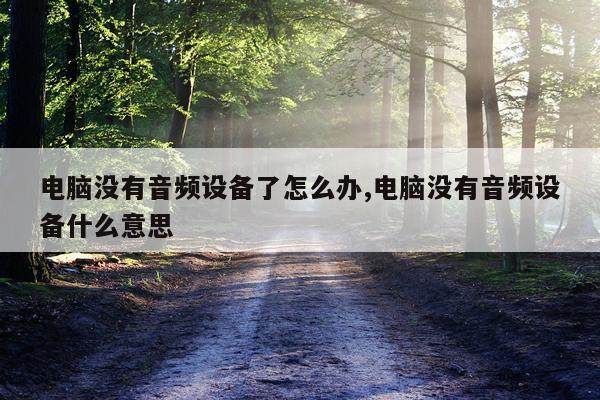 电脑没有音频设备了怎么办,电脑没有音频设备什么意思
