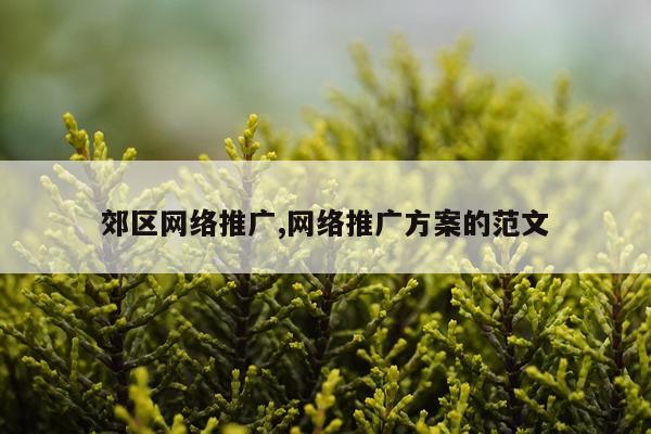 郊区网络推广,网络推广方案的范文