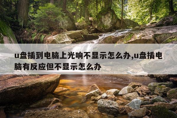 u盘插到电脑上光响不显示怎么办,u盘插电脑有反应但不显示怎么办