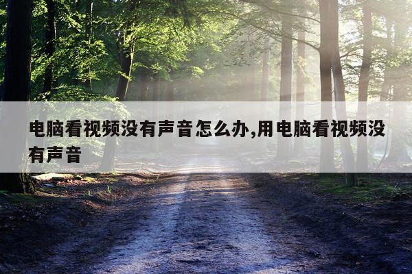 电脑看视频没有声音怎么办,用电脑看视频没有声音