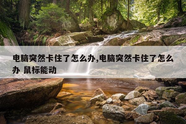 电脑突然卡住了怎么办,电脑突然卡住了怎么办 鼠标能动