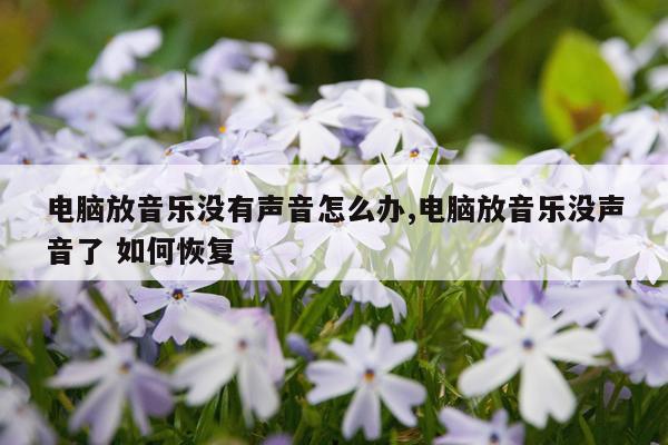 电脑放音乐没有声音怎么办,电脑放音乐没声音了 如何恢复