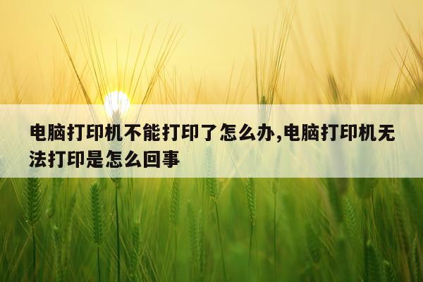电脑打印机不能打印了怎么办,电脑打印机无法打印是怎么回事