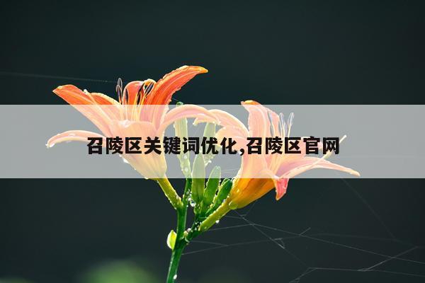 召陵区关键词优化,召陵区官网