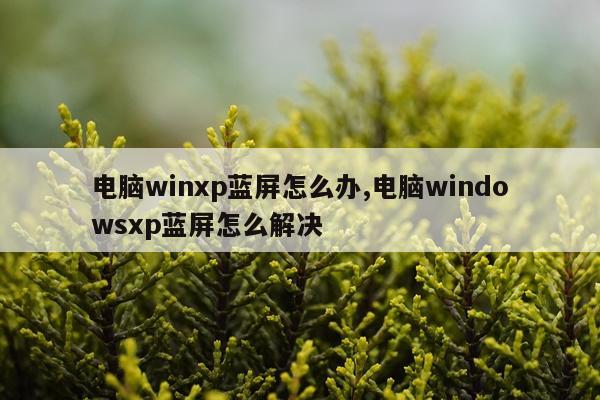 电脑winxp蓝屏怎么办,电脑windowsxp蓝屏怎么解决