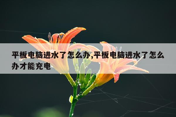 平板电脑进水了怎么办,平板电脑进水了怎么办才能充电