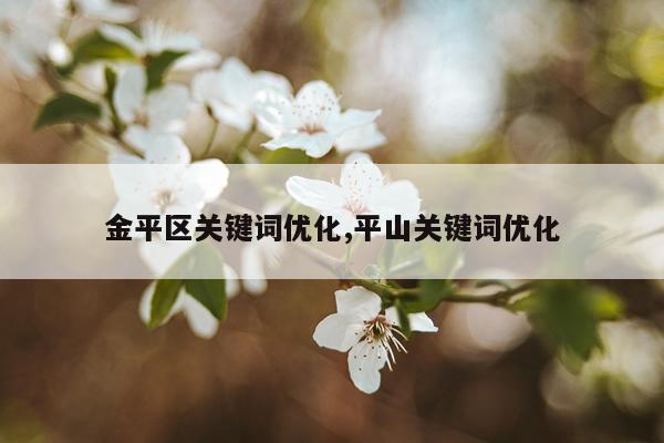 金平区关键词优化,平山关键词优化