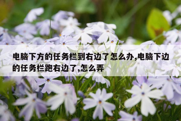电脑下方的任务栏到右边了怎么办,电脑下边的任务栏跑右边了,怎么弄