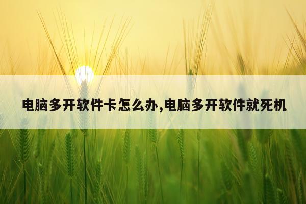 电脑多开软件卡怎么办,电脑多开软件就死机