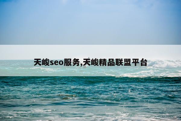 天峻seo服务,天峻精品联盟平台