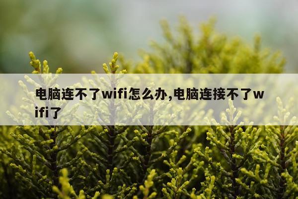 电脑连不了wifi怎么办,电脑连接不了wifi了