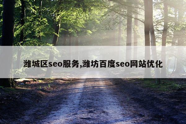 潍城区seo服务,潍坊百度seo网站优化