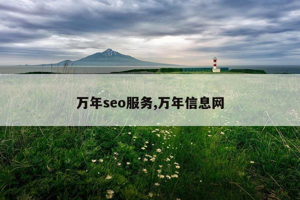 万年seo服务,万年信息网