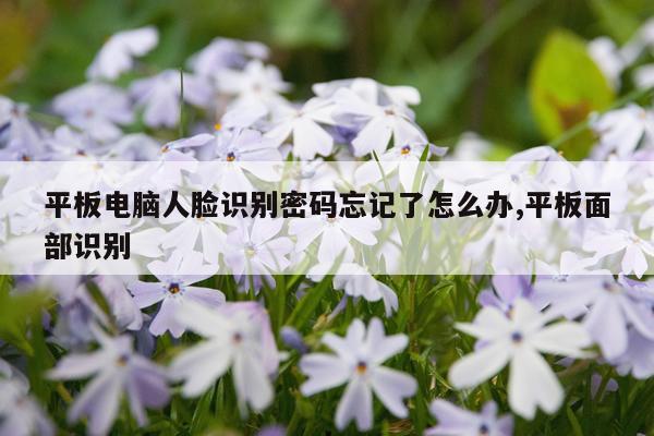 平板电脑人脸识别密码忘记了怎么办,平板面部识别