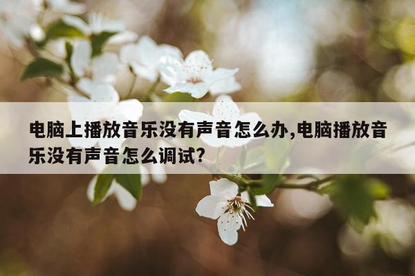 电脑上播放音乐没有声音怎么办,电脑播放音乐没有声音怎么调试?