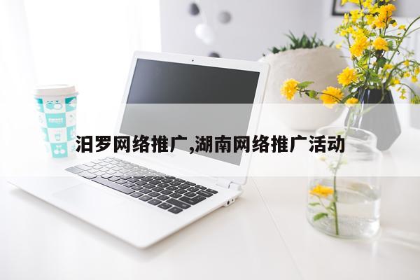 汨罗网络推广,湖南网络推广活动