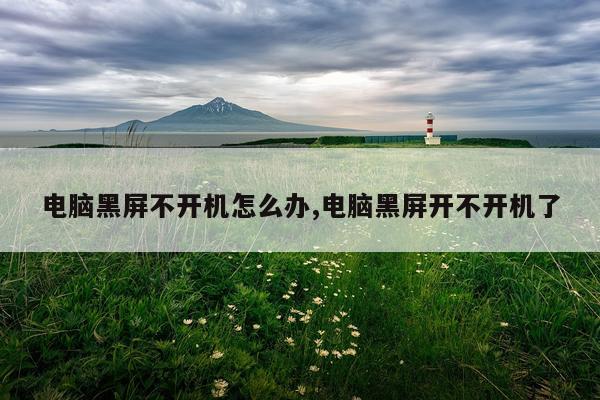 电脑黑屏不开机怎么办,电脑黑屏开不开机了