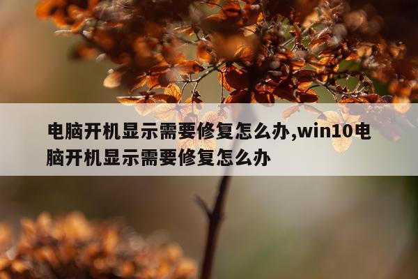 电脑开机显示需要修复怎么办,win10电脑开机显示需要修复怎么办