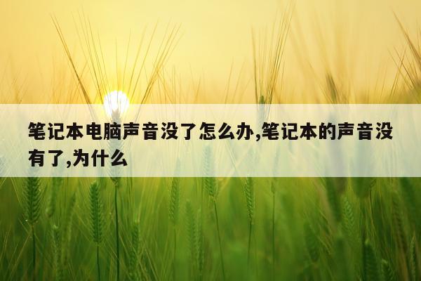笔记本电脑声音没了怎么办,笔记本的声音没有了,为什么
