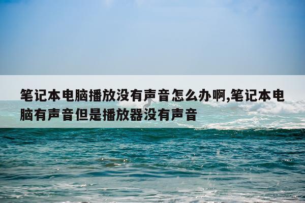笔记本电脑播放没有声音怎么办啊,笔记本电脑有声音但是播放器没有声音