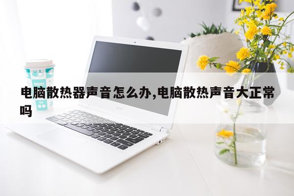 电脑散热器声音怎么办,电脑散热声音大正常吗