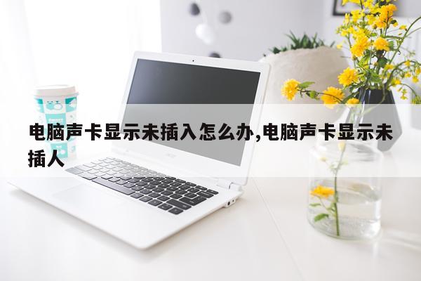 电脑声卡显示未插入怎么办,电脑声卡显示未插人