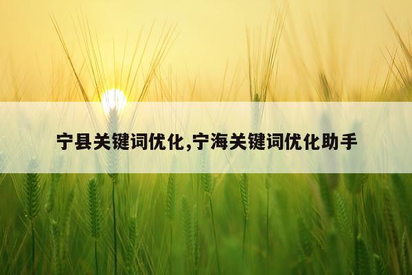 宁县关键词优化,宁海关键词优化助手