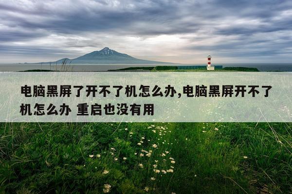 电脑黑屏了开不了机怎么办,电脑黑屏开不了机怎么办 重启也没有用