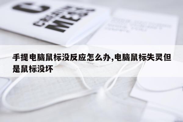手提电脑鼠标没反应怎么办,电脑鼠标失灵但是鼠标没坏