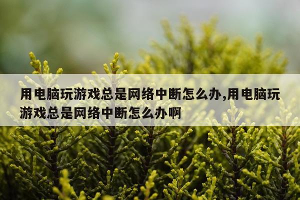 用电脑玩游戏总是网络中断怎么办,用电脑玩游戏总是网络中断怎么办啊