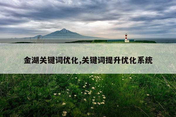 金湖关键词优化,关键词提升优化系统