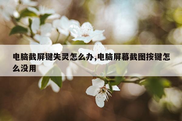 电脑截屏键失灵怎么办,电脑屏幕截图按键怎么没用