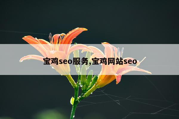 宝鸡seo服务,宝鸡网站seo
