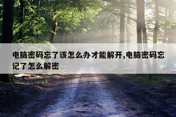 电脑密码忘了该怎么办才能解开,电脑密码忘记了怎么解密