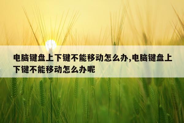 电脑键盘上下键不能移动怎么办,电脑键盘上下键不能移动怎么办呢