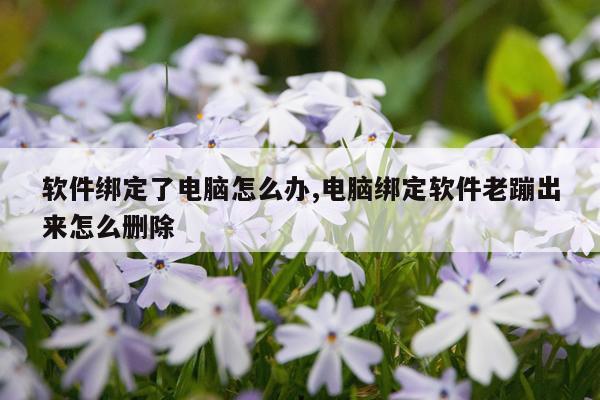 软件绑定了电脑怎么办,电脑绑定软件老蹦出来怎么删除