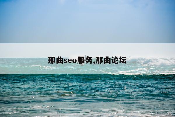 那曲seo服务,那曲论坛