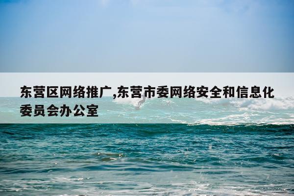 东营区网络推广,东营市委网络安全和信息化委员会办公室