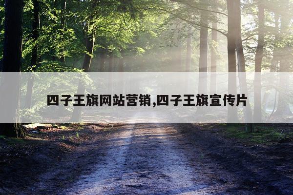 四子王旗网站营销,四子王旗宣传片