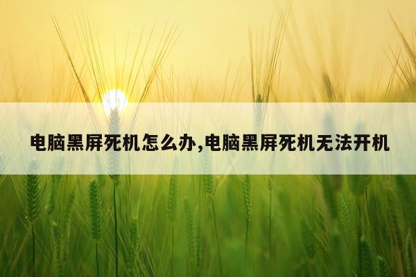 电脑黑屏死机怎么办,电脑黑屏死机无法开机