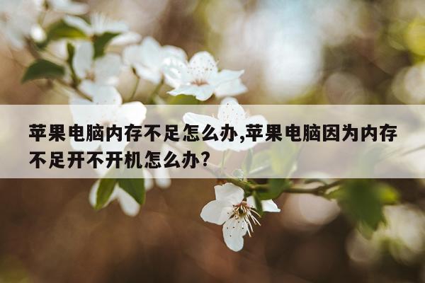 苹果电脑内存不足怎么办,苹果电脑因为内存不足开不开机怎么办?
