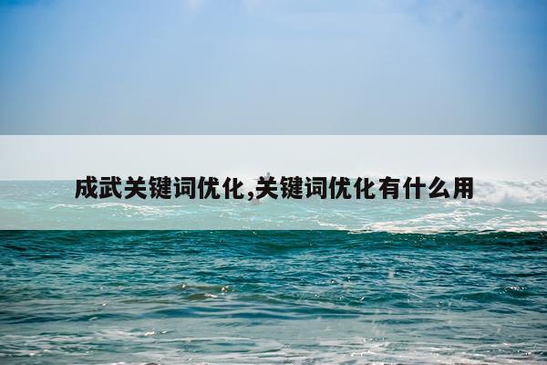 成武关键词优化,关键词优化有什么用
