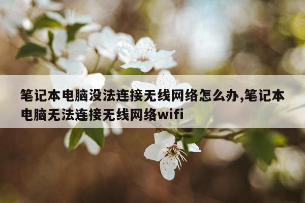 笔记本电脑没法连接无线网络怎么办,笔记本电脑无法连接无线网络wifi